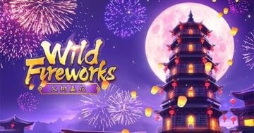 Wild-Fireworks